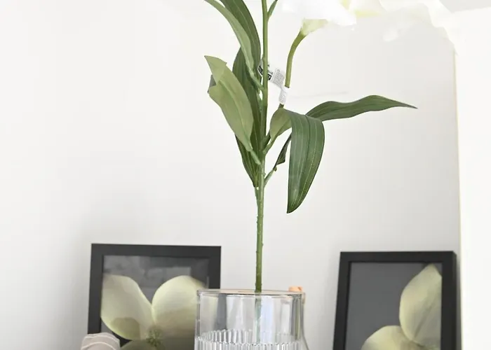 Taminize - Cavtat,sea View Lejlighed *