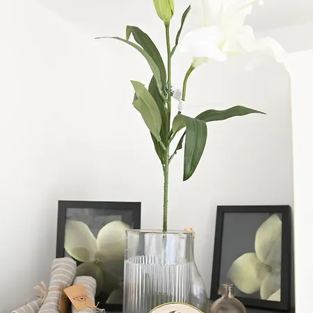 Taminize - Cavtat,sea View Apartamento *